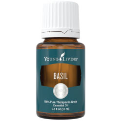 Basil Essential Oil Soothes Muscles After Exercise